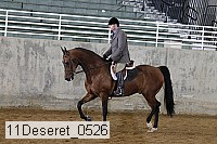 11deseret_0526 thumbnail