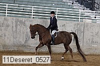 11deseret_0527 thumbnail