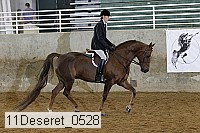 11deseret_0528 thumbnail