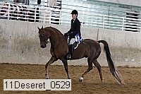 11deseret_0529 thumbnail