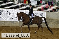 11deseret_0530 thumbnail