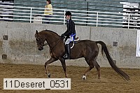 11deseret_0531 thumbnail
