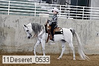 11deseret_0533 thumbnail