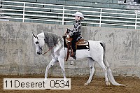 11deseret_0534 thumbnail