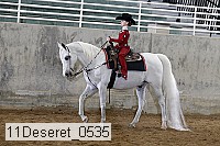 11deseret_0535 thumbnail