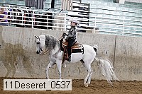 11deseret_0537 thumbnail