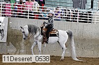 11deseret_0538 thumbnail