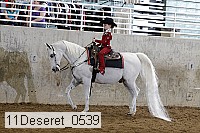 11deseret_0539 thumbnail