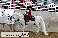 11deseret_0540 thumbnail