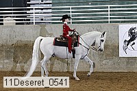 11deseret_0541 thumbnail