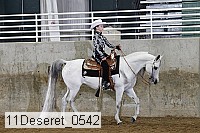 11deseret_0542 thumbnail