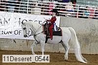 11deseret_0544 thumbnail