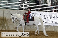 11deseret_0545 thumbnail