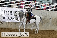 11deseret_0546 thumbnail
