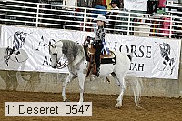 11deseret_0547 thumbnail