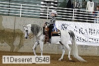 11deseret_0548 thumbnail