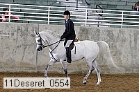 11deseret_0554 thumbnail