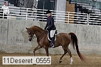 11deseret_0555 thumbnail