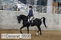 11deseret_0558 thumbnail