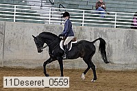 11deseret_0559 thumbnail