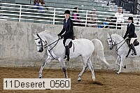 11deseret_0560 thumbnail