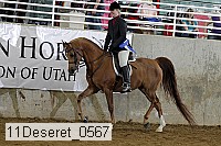 11deseret_0567 thumbnail