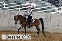 11deseret_0587 thumbnail