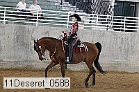 11deseret_0588 thumbnail