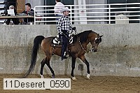 11deseret_0590 thumbnail