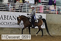 11deseret_0591 thumbnail