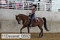 11deseret_0592 thumbnail