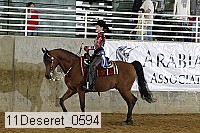 11deseret_0594 thumbnail