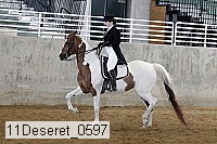 11deseret_0597 thumbnail