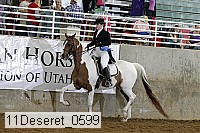 11deseret_0599 thumbnail