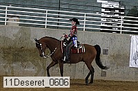 11deseret_0606 thumbnail