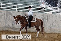 11deseret_0609 thumbnail