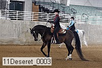 11deseret_0003 thumbnail