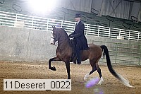 11deseret_0022 thumbnail