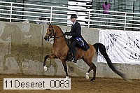 11deseret_0083 thumbnail