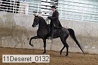 11deseret_0132 thumbnail