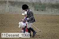 11deseret_1068 thumbnail