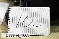 11deseret_1089 thumbnail