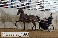 11deseret_1093 thumbnail