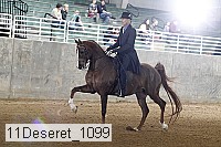 11deseret_1099 thumbnail