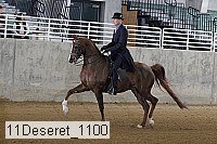 11deseret_1100 thumbnail