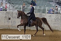 11deseret_1101 thumbnail