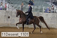 11deseret_1101 thumbnail