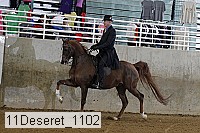 11deseret_1102 thumbnail