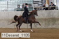 11deseret_1105 thumbnail