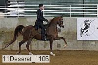 11deseret_1106 thumbnail